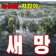 새망 그물망, 1개
