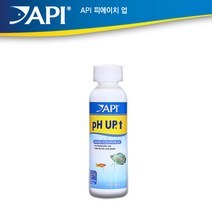 API PH UP-118ml(4oz)- 피에이치 업, 1개, 118ml
