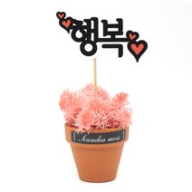 스칸디아모스 천연이끼 공기정화 메세지픽 독일토분, 행복 독일토분 모스-핑크