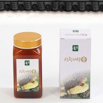 송일품버섯마을 상황버섯 분말 가루 버섯 차 국산, 200g, 1통