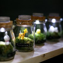 가훼하우스 [미니화분 테라리움]꼬마LED모스, 흰강아지, 1개