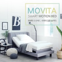 영남베드앤메디칼 가정용 병원침대 환자용 전동 모비타 RX 700(매트리스포함), RX-700 S (싱글) / 패브릭-그레이
