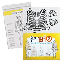 핸디몰 우리몸 우리뼈구조SET(1번) 우리몸 우리뼈 내장구조SET(2번), 내장구조SET②