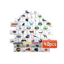 NEW 종이벽돌 동물 40pcs 피셔프라이스러닝홈/키드크래프트주방놀이/마더스콘/레고테이블/킥보드/아기체육관/피셔프라이스/액티비티가든/주방놀이/아기교구