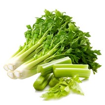 싱싱한 샐러리, 2kg, 1개