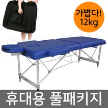 윈디 휴대용 미용베드 JY-01 마사지침대, 블루