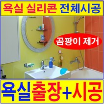 곰팡이제거 욕실 실리콘 전체 시공 서울 경기 인천지역