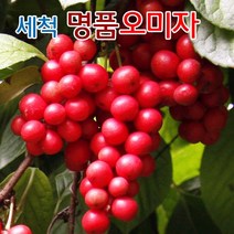 생 오미자 세척 문경 오미자생과 3키로/ 9월18일부터 순차발송, 1개, 오미자생과 3KG