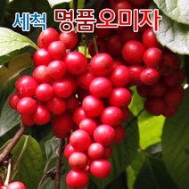 [냉동생과] 생오미자 문경 오미자 세척 오미자생과 3키로/ 9월13일부터 순차발송, 1개, 3KG