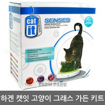 팜파크 하겐 캣잇 고양이 그래스 가든 키트 고양이장난감, 1