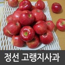강원도 정선사과 사과선물세트 5kg 3kg 햇사과 부사 겨울사과, 1박스, 꼬마사과 5kg(22-24과내외)