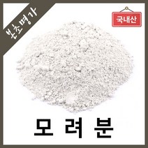 본초명가 모려분 굴껍질, 600g, 1개
