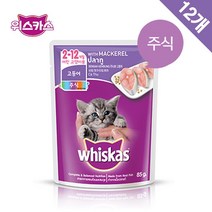 위스카스 키튼 파우치 고등어 85g 12팩, 1개