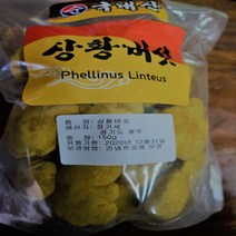 상황버섯 (국내산) 500 g, 1개