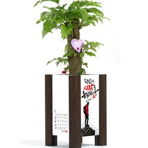 미나의정원 준중형 메세지 액자화분, 06 더높이날자