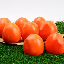 누리원 달콤한 햇 대봉 대봉감 곶감용감 홍시감 3kg 5kg 10kg, 1박스, 중과 5kg (16-20과 내외)