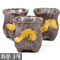 한성화분 미니화분 3개세트 MP86 / 다육화분 화분 다육이화분 토분 토기 선인장 도자기화분 옹기화분, 36_한성_화분(MP288)(3개세트)