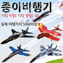 세빛아트 종이비행기 페이퍼파일럿 20종 교육 수업용, F-18