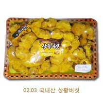 동의한약나라 국내산 명품 상황버섯 500g, 국내산 최상급, 1개