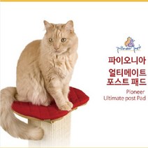 파이오니아 펫 스크래쳐 얼티메이트외 5종, 포스트 패드, 1개
