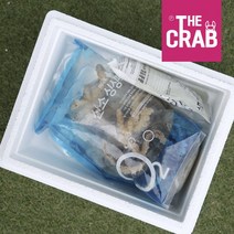 제철 여수 통영 활 돌문어 생물 문어, 1개, 500g (산소포장/1-2마리)