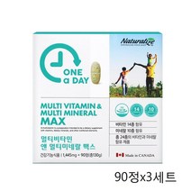 비타민하우스 캐나다원어데이 멀티비타민앤멀티미네랄맥스90정 비타민 미네랄, 3병