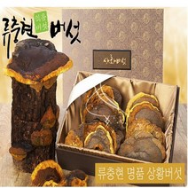 류충현 명품 상황버섯 상황버섯원물 300g 약용버섯 상황버섯물 상황버섯진액 즙 상황버섯선물, 1개