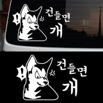 페이퍼스토리 초보운전 안전운전 양보운전 해시태그문구제작 차량 자동차 C.11 건들면개, 화이트