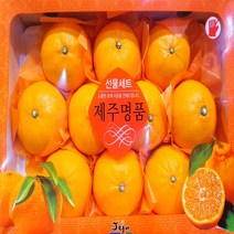 달달과수원 달콤한 천혜향 선물세트 3kg 특품, 1박스