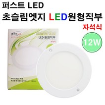 퍼스트LED 초슬림엣지 LED 원형 직부 12W 직부등, 주광색
