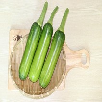 인큐애호박 1개, 1