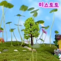 미스토토 테라리움 만들기 재료 나무-향나무 7.3cm