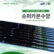 원다 슈퍼카본수양