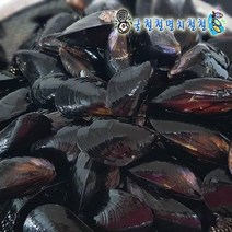 반건조홍합살 건홍합 술안주 미역국재료, 1개, 피홍합3kg