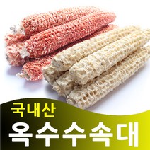 자연보감 국산 옥수수속대, 1개, 1kg