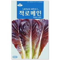 청농종묘 적겨자 씨앗 2000립 채소씨앗 겨자씨 씨 쌈채소씨앗, 05_적로메인(3000립)