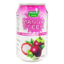 트로잇음료 망고스틴음료 330ml, 1개