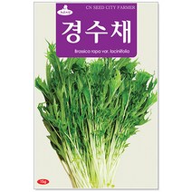 청농종묘 곰취 씨앗 100립 곰치 곰피 곰취나물 취나물 곰취씨, 25_경수채(15g)