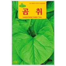 청농종묘 수세미 씨앗 30립 수세미씨 수세미씨앗 씨, 17_곰취(100립)