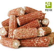 총명식품 옥수수속대, 1kg, 1개, 1개