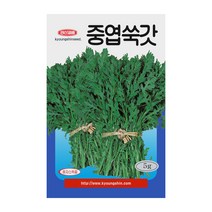 경신종묘 쑥갓씨앗 중엽쑥갓 5g