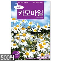 세이지 씨앗 50립 / 허브씨앗 세이지씨앗 허브씨 허브 세이지씨 샐비어 씨, 13_허브_카모마일(500립)