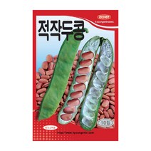경신종묘 콩씨앗 적작두콩 10립, 1개