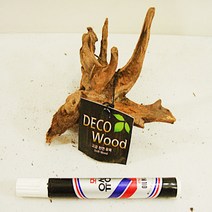 [아이사이언스에듀] 랜덤 가지유목 소특A 유목