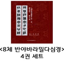 8체 반야바라밀다심경 1~4권 세트