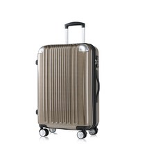 [댄디] 에이저스틴 하드캐리어 24인치(수하물용)_골드브러쉬