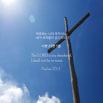 [대양] 성경말씀 안경닦이 S(15x18cm)-30장