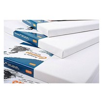 아트메이트/면천캔버스/F15호/66*53cm, F