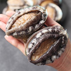 17년 전통 순천만수산 프리미엄 전복 9-10미 1kg 정직한 중량 산소팩포장, 1개, 전복 9-10미 1kg