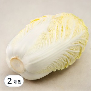 국내산 알배기